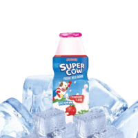 Swisse Supercow Yogurt Milk Drink 100ml
